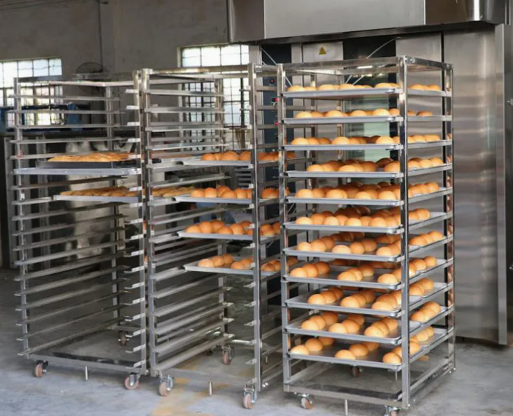 Stainless Steel Trays & Trolley Fabrication